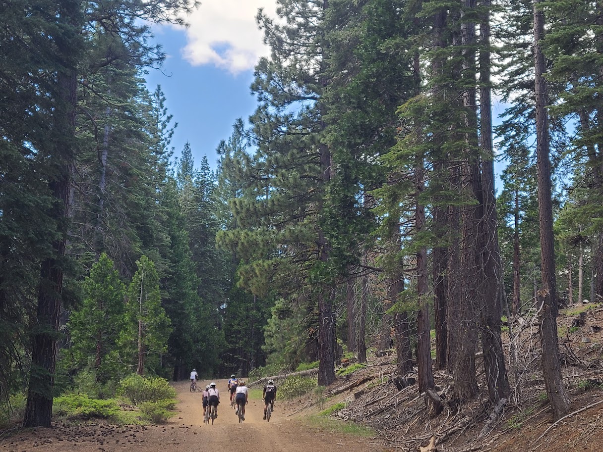 Gravel Biking near Beckwourth Peak High Camp