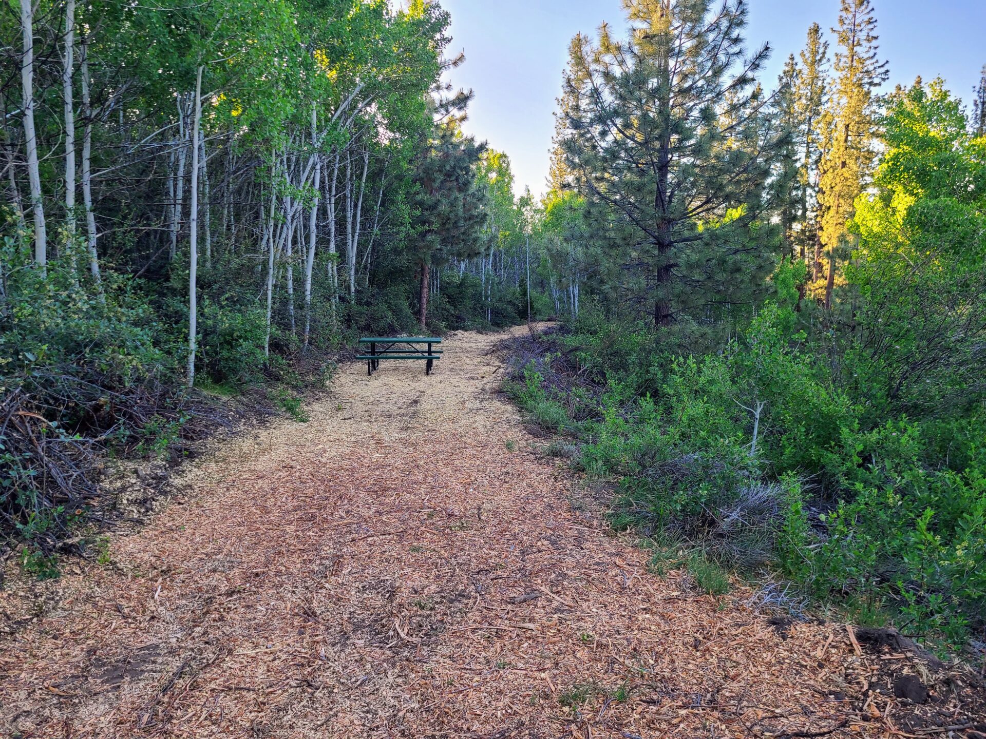 Guests around the communal fire pit at night