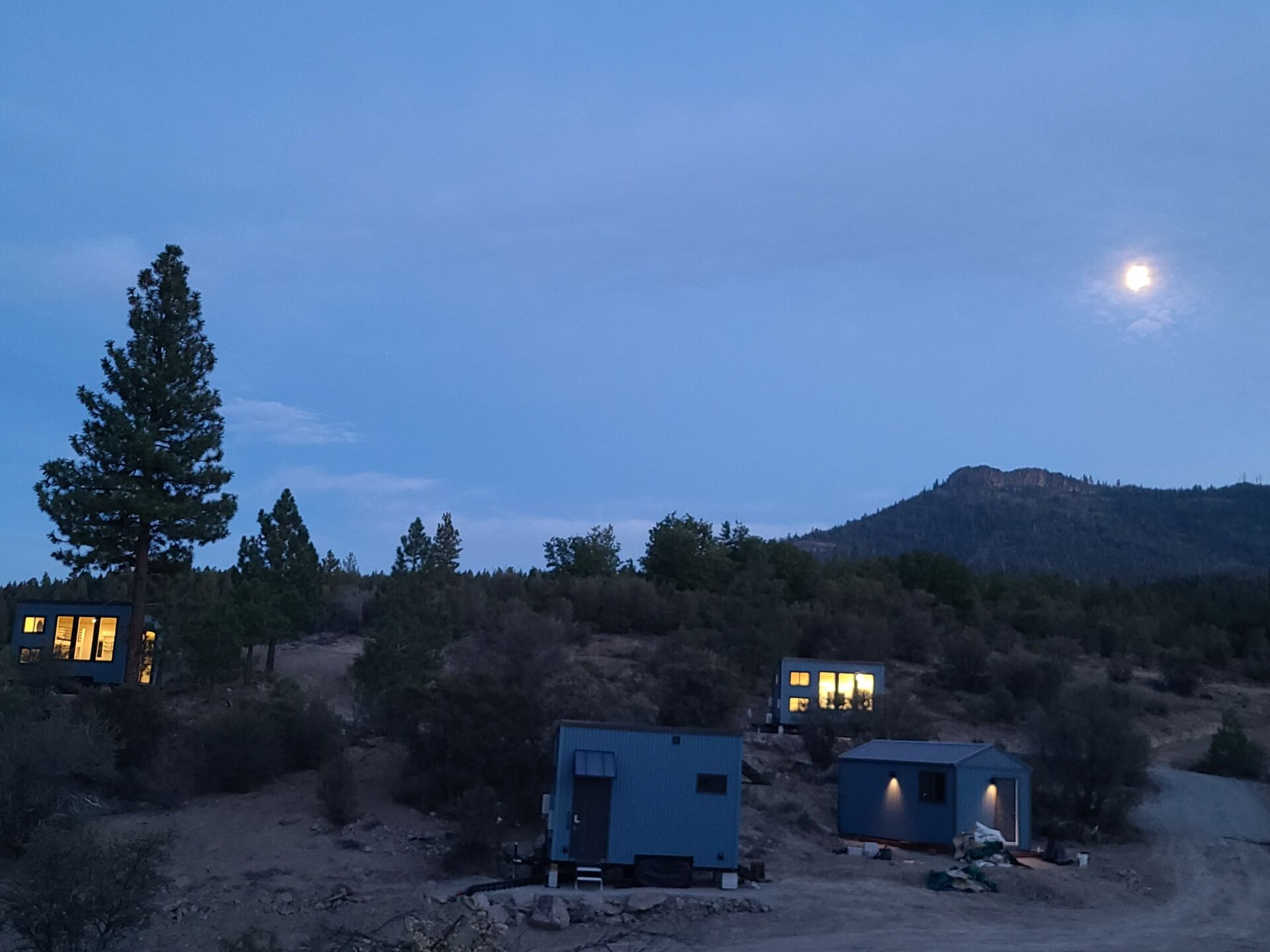 Wildflowers blooming in the Lost Sierra meadows