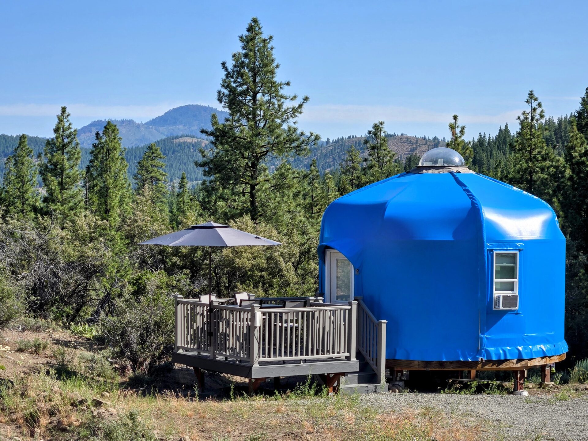 Yurt exterior surrounded by pines