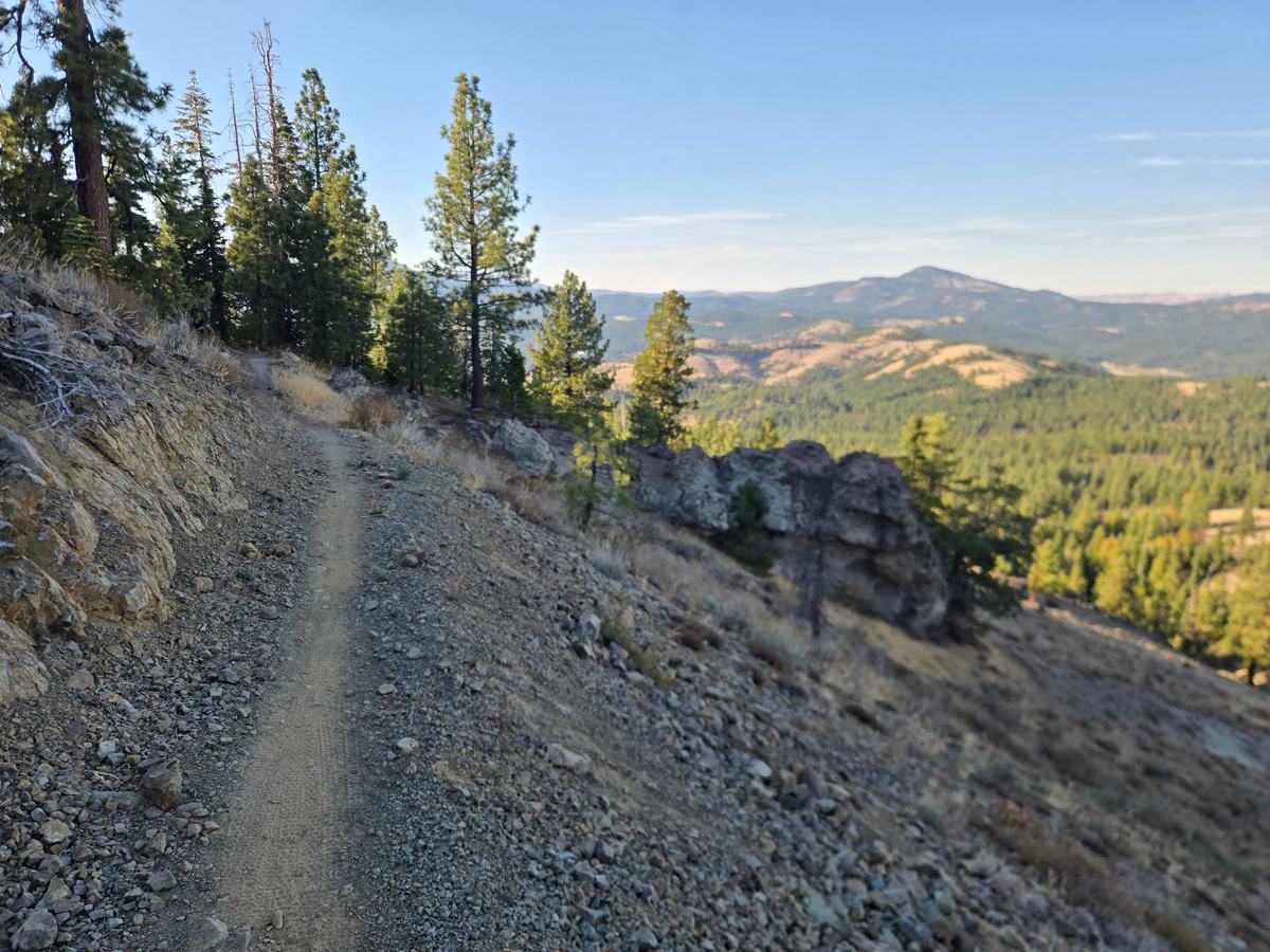 Narrow singletrack across a rocky, pine-dotted slope on the Beckwourth Peak Trail with forested ridges and a distant peak beyond